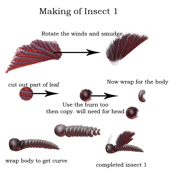 Creation of Leaf Valley: Step 2